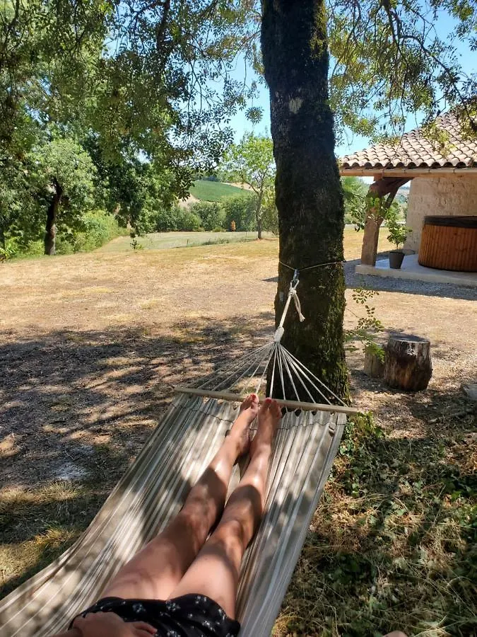 Gite Pierre Qui Roule Castanet  Castanet (Tarn)